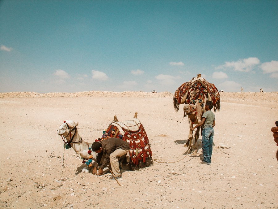 Piramiden alle info - Reiskick Egypte
