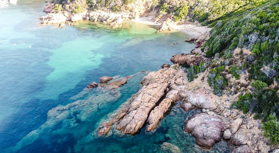 Griolata Corsica - Reiskick