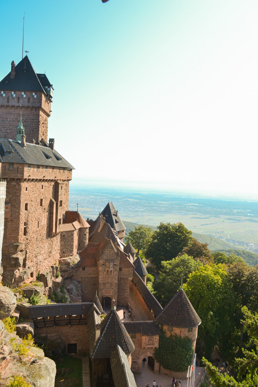 Haut-Koningsbourg in de Elzas (14)