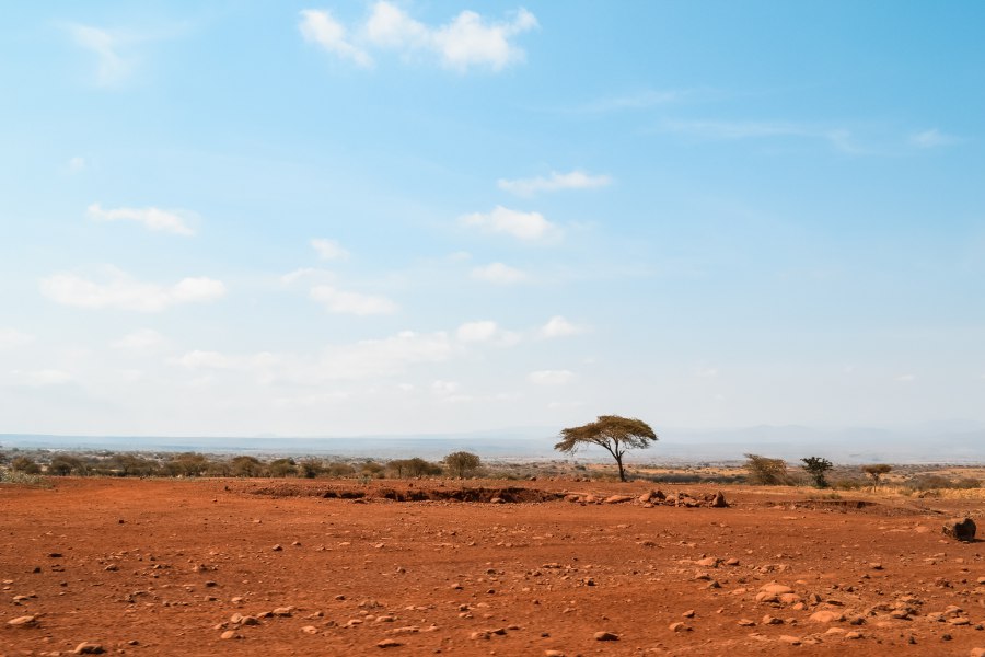 Tips voro Lake Manyara National Park - Reiskick