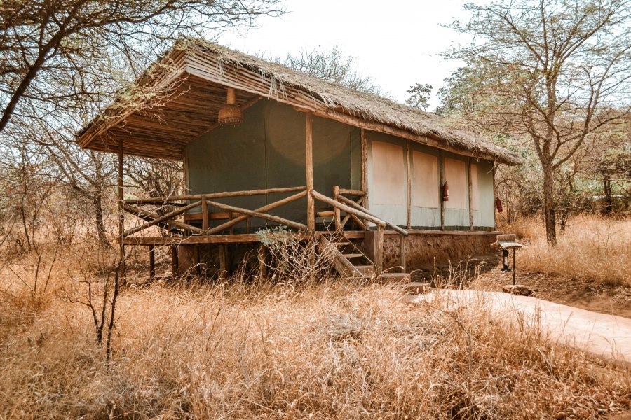 Tips voor Lake Manyara National Park in Tanzania - Reiskick