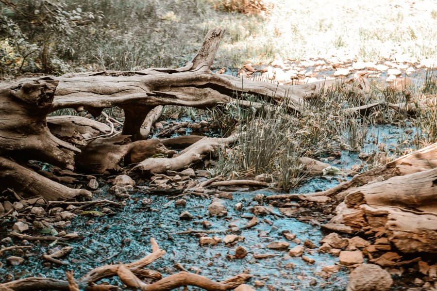 De Hippo pool Lake Manyara - Reiskick