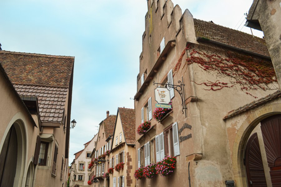 Mittelbergheim wijnboer Boeckel de Elzas - Reiskick