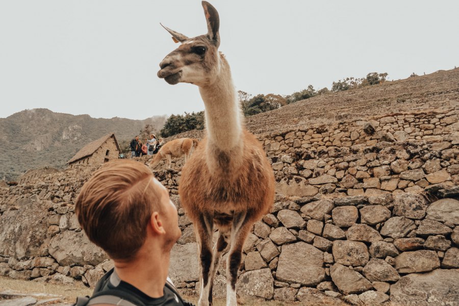 Reiskick Machu Picchu (16)