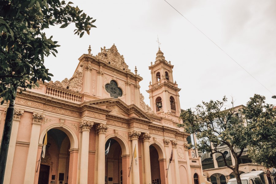 Reiskick Salta (5)