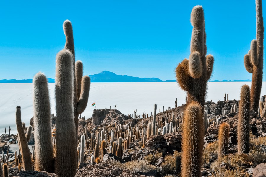 Reiskick Uyuni zoutvlakte (1)