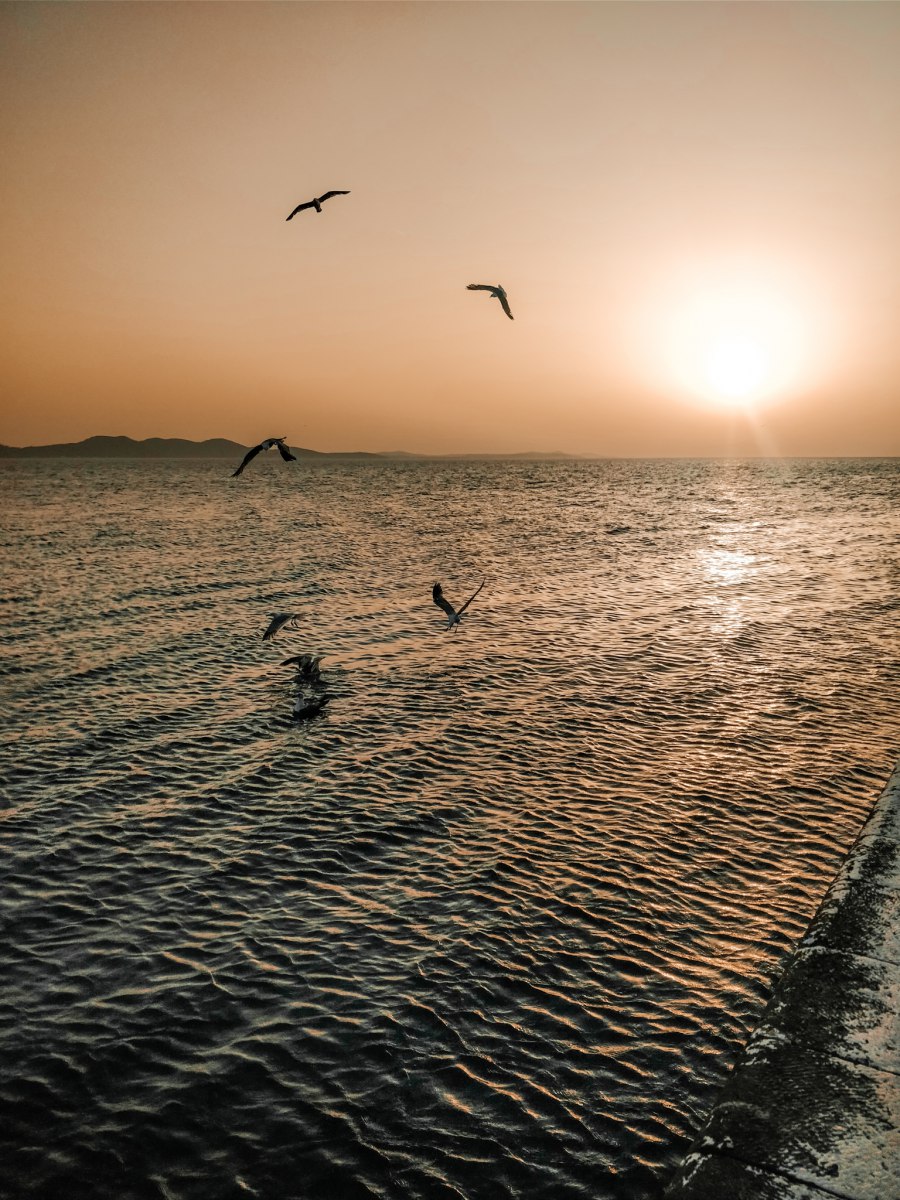 De mooiste zonsondergang in Zadar - Reiskick