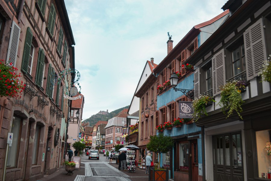 Ribeauville in de Elzas - Reiskick