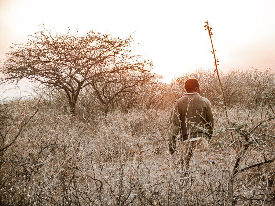 Het leven in Tanzania - Reiskick