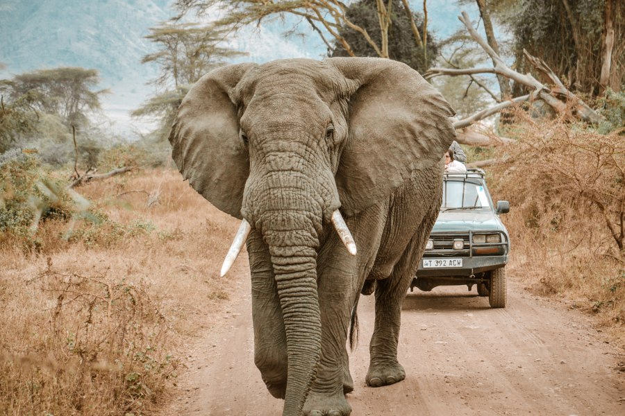 Geef bedelaars niets in Tanzania - Reiskick