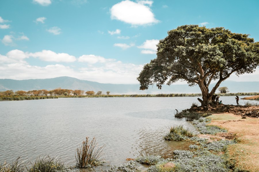 Ngorongoro krater Tanzania - Reiskick
